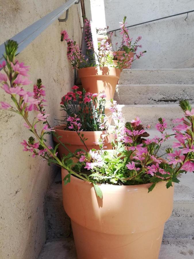 הוילה ז'יניאק La Terrasse מראה חיצוני תמונה